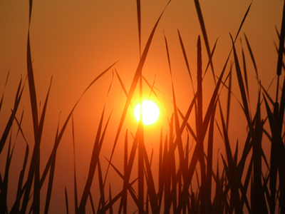Sunset over the Currituck Sound in Corolla, North Carolina