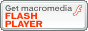 Get Macromedia Flash Player to View SWF Files